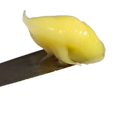 Bán nóng 1000g mỡ rắn canxi màu vàng không nước